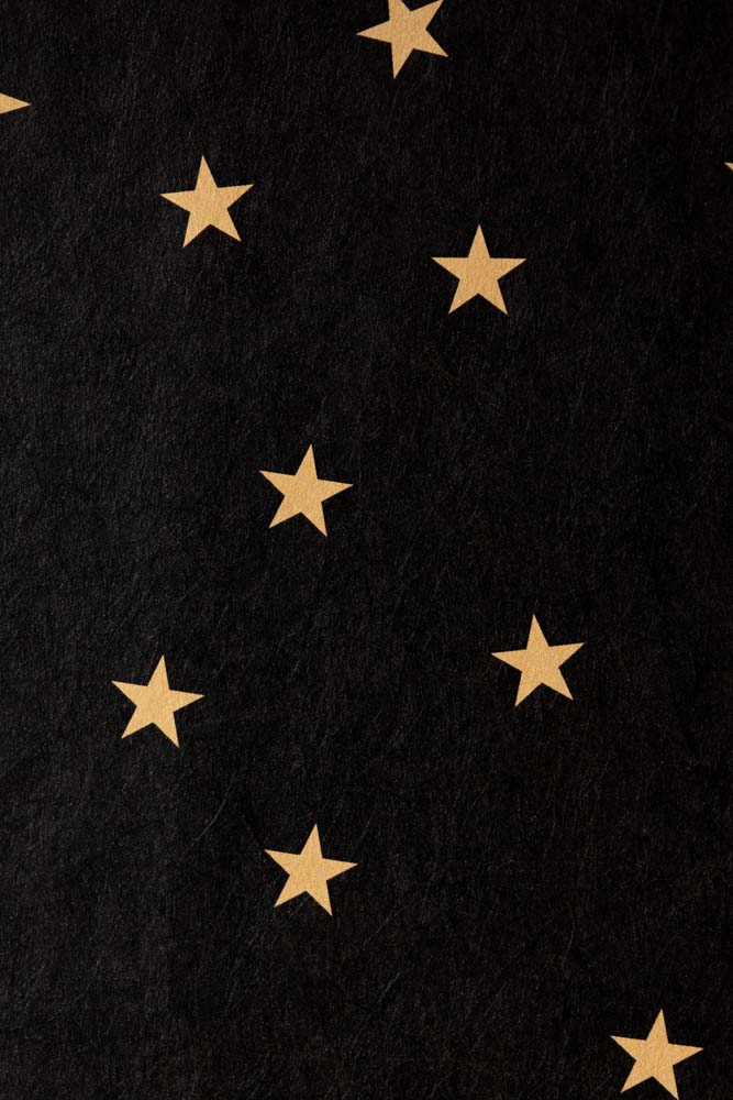 Rockett St George Falling Stars Black Mural - Image 24